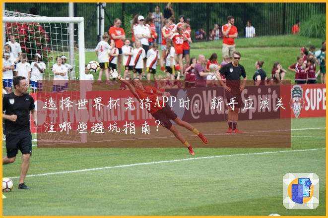 选择世界杯竞猜APP时，新手应该关注哪些避坑指南？