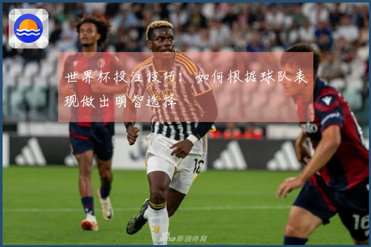 世界杯投注技巧：如何根据球队表现做出明智选择