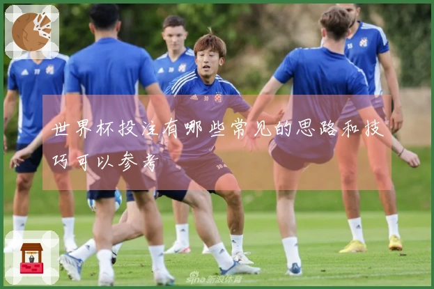 世界杯投注有哪些常见的思路和技巧可以参考