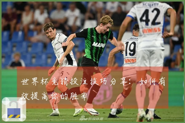 世界杯竞猜投注技巧分享：如何有效提高你的胜率