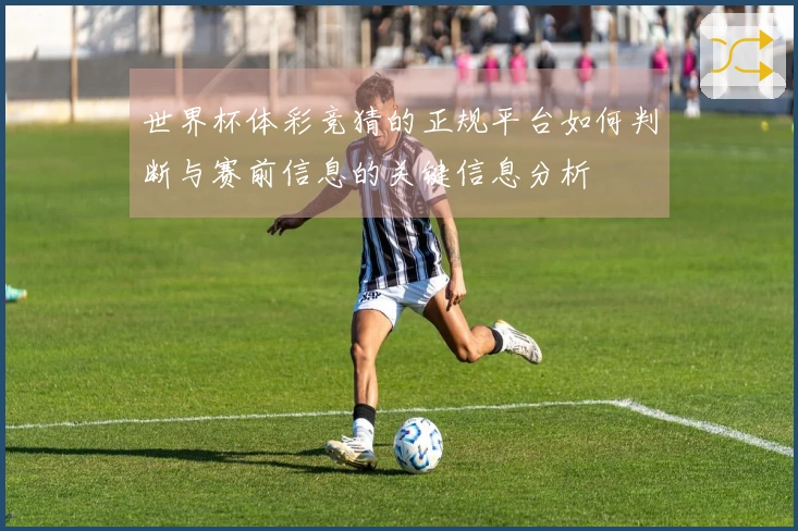 世界杯体彩竞猜的正规平台如何判断与赛前信息的关键信息分析