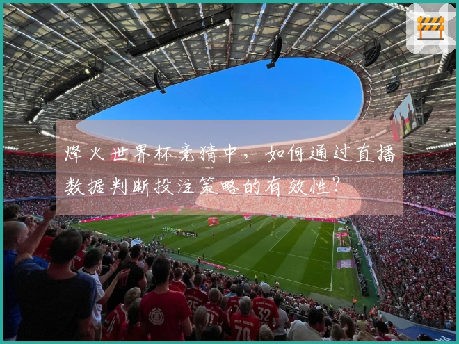 烽火世界杯竞猜中，如何通过直播数据判断投注策略的有效性？