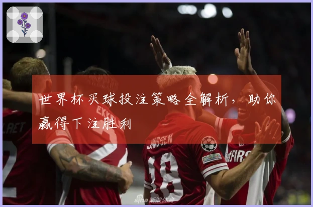 世界杯买球投注策略全解析，助你赢得下注胜利