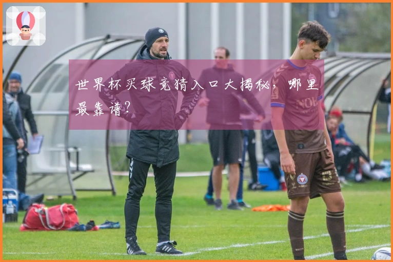 世界杯买球竞猜入口大揭秘，哪里最靠谱？