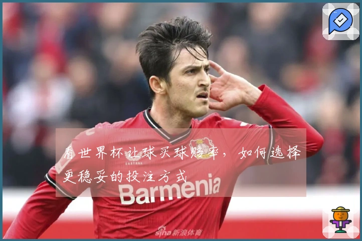 看世界杯让球买球赔率，如何选择更稳妥的投注方式