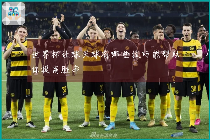世界杯让球买球有哪些技巧能帮助你提高胜率