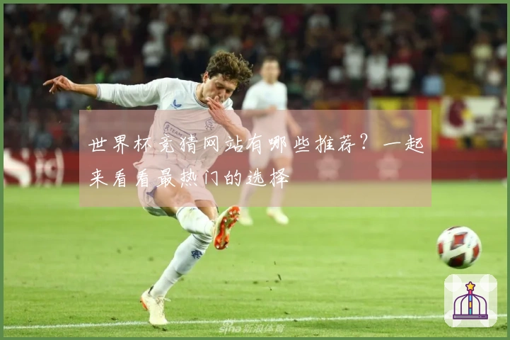 世界杯竞猜网站有哪些推荐？一起来看看最热门的选择