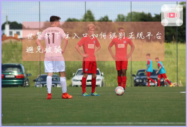 世界杯下注入口如何识别正规平台避免被骗