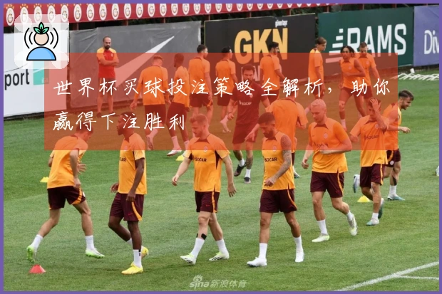 世界杯买球投注策略全解析，助你赢得下注胜利