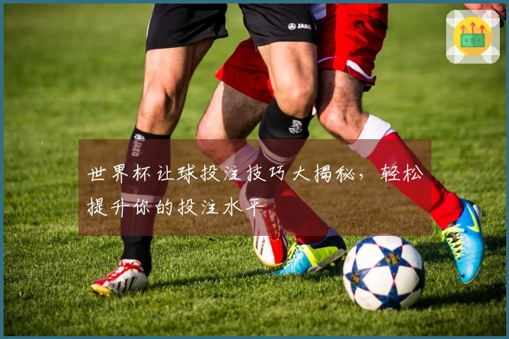 世界杯让球投注技巧大揭秘，轻松提升你的投注水平