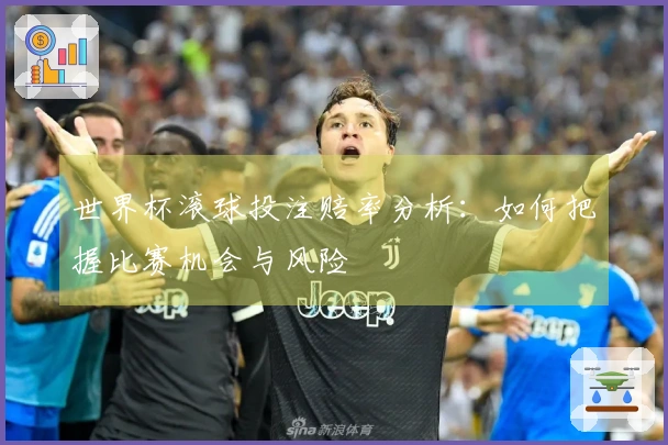 世界杯滚球投注赔率分析：如何把握比赛机会与风险