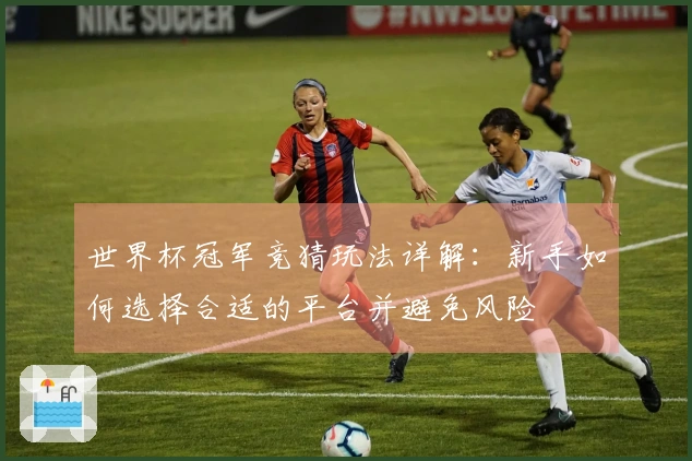 世界杯冠军竞猜玩法详解：新手如何选择合适的平台并避免风险