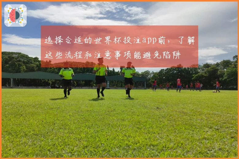 选择合适的世界杯投注app前，了解这些流程和注意事项能避免陷阱