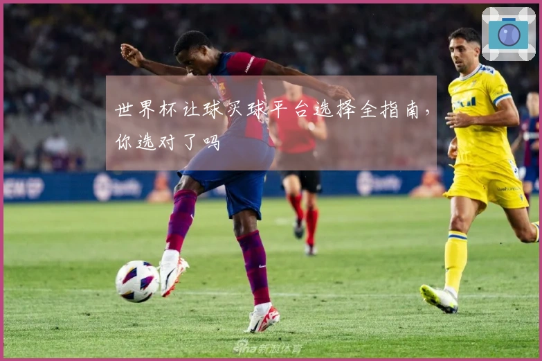 世界杯让球买球平台选择全指南，你选对了吗