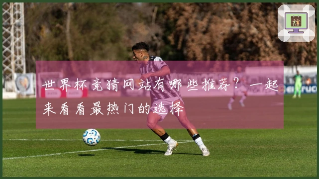 世界杯竞猜网站有哪些推荐？一起来看看最热门的选择
