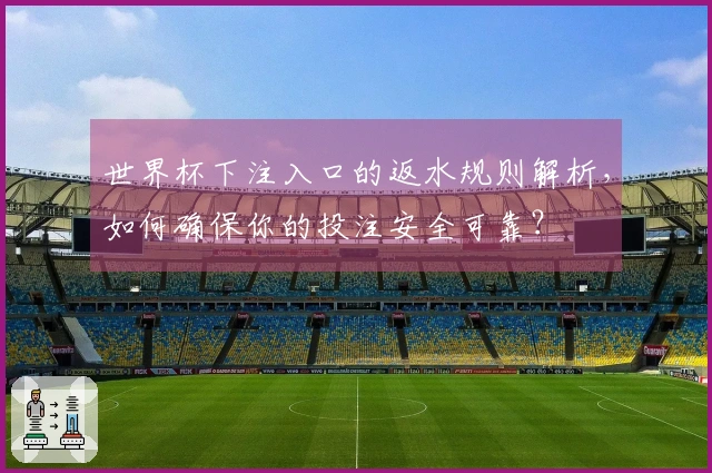 世界杯下注入口的返水规则解析，如何确保你的投注安全可靠？