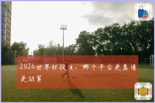 2026世界杯投注，哪个平台更靠谱更划算