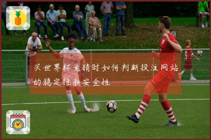 买世界杯竞猜时如何判断投注网站的稳定性和安全性