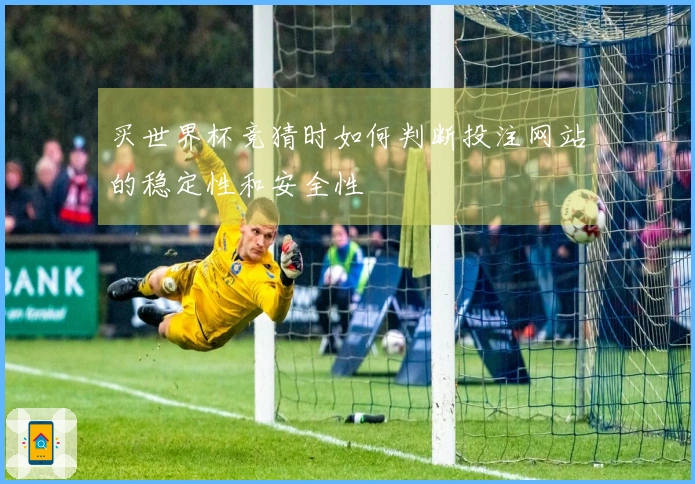 买世界杯竞猜时如何判断投注网站的稳定性和安全性