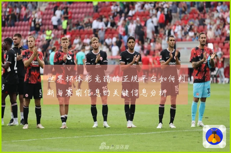 世界杯体彩竞猜的正规平台如何判断与赛前信息的关键信息分析