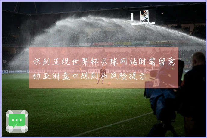 识别正规世界杯买球网站时需留意的亚洲盘口规则和风险提示
