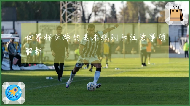 世界杯买球的基本规则和注意事项解析