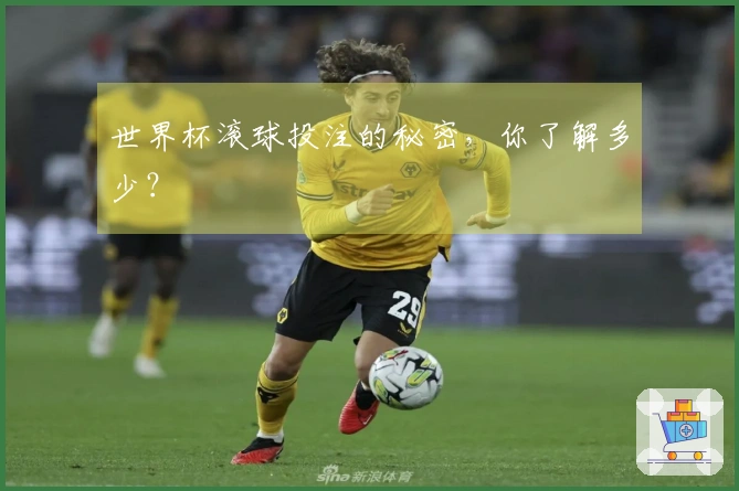 世界杯滚球投注的秘密，你了解多少？