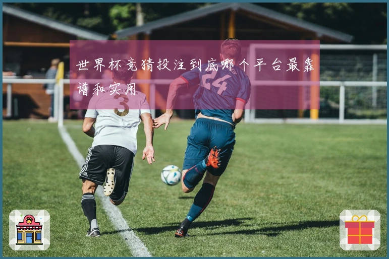 世界杯竞猜投注到底哪个平台最靠谱和实用