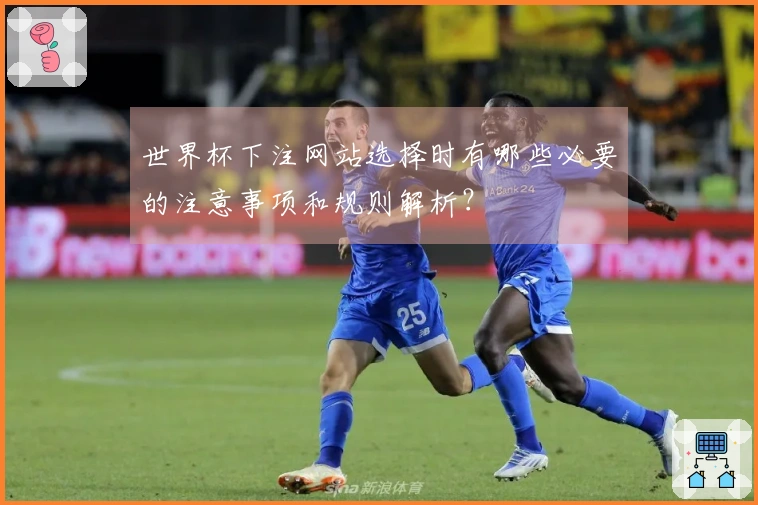 世界杯下注网站选择时有哪些必要的注意事项和规则解析？