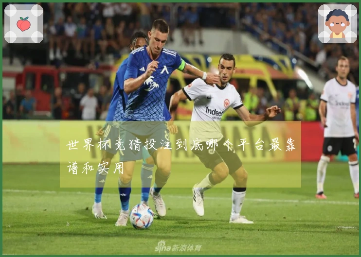 世界杯竞猜投注到底哪个平台最靠谱和实用